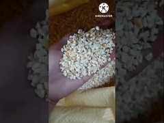 macchine per l'estrazione dell'olio di germe di mais