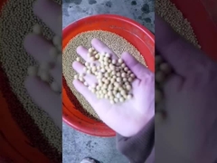 Macchina per la stampa dell'olio di soia