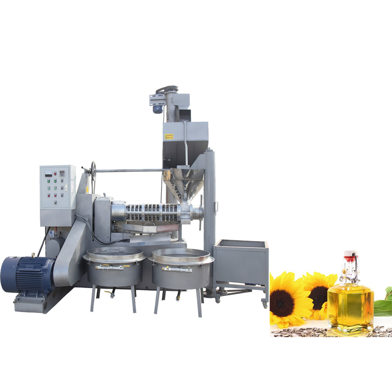 Macchina per la stampa dell'olio di sesamo di semi di senape 6YL-160 a vite con una capacità di 300-600 kg/h