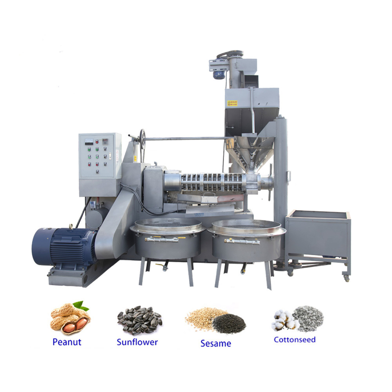 Vite commerciale Camellia Oil Extraction Machine 2,2 chilowatt di vuoto di potere 1900KG dell'olio industriale Presser del peso