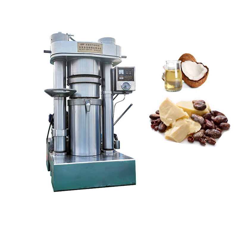 6YY-250 Pressatrice industriale per olio con capacità di 30-50 kg/h e tensione monofase / 3 fasi