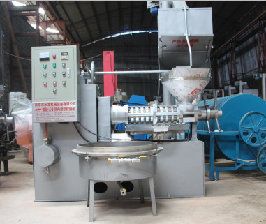 Stampa dell'olio di senape dell'arachide che rende a macchina 400 l'estrattore dell'olio vegetale 380v di kg/h